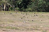 IMG_2752