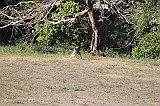 IMG_2754