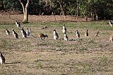 IMG_2759