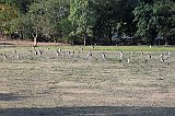 IMG_2761