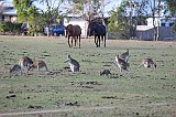 IMG_2766