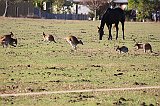 IMG_2771