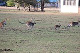 IMG_2773