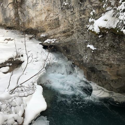 IMG 0001