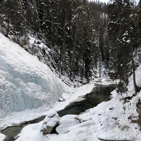 IMG 0044