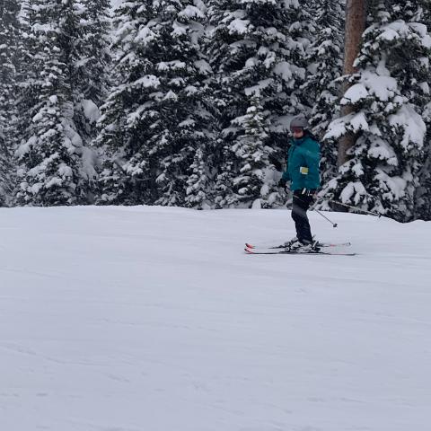 IMG 9205