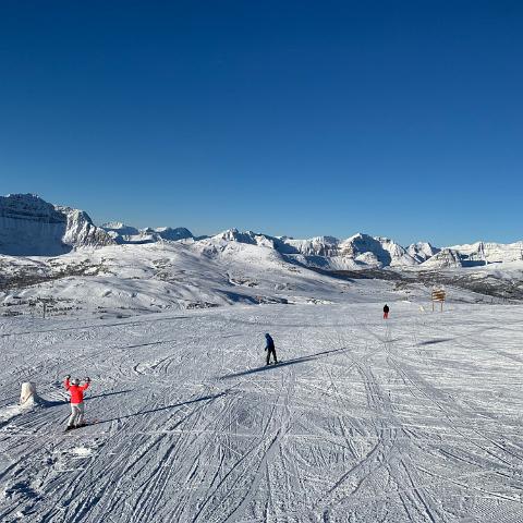 IMG 9364