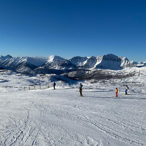 IMG 9373