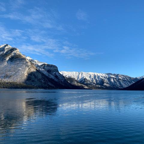 IMG 9719