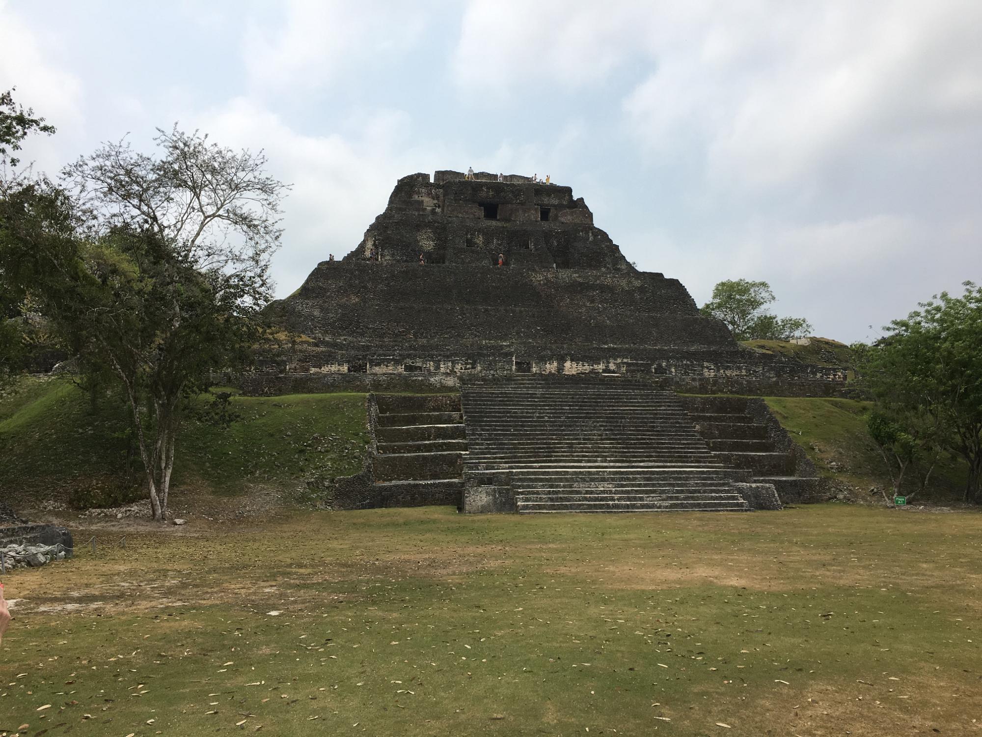 IMG 3363