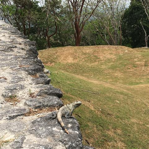 IMG 3407