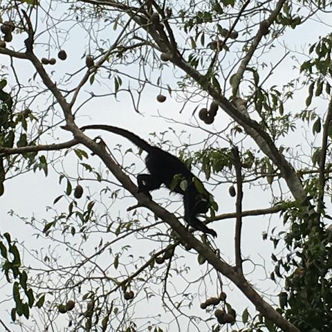IMG 3439