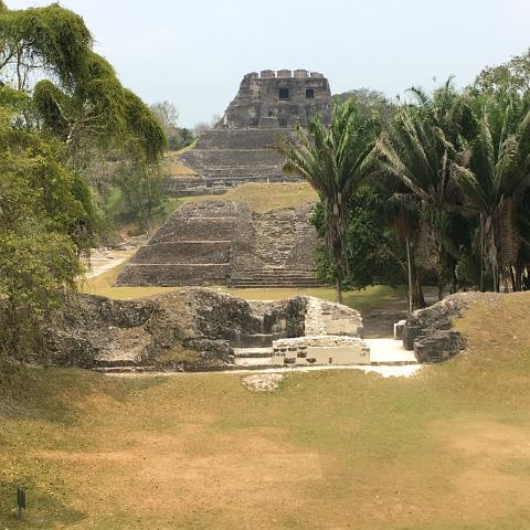 IMG 3448