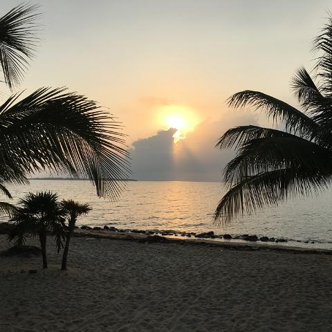 IMG 3563