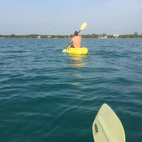 IMG 3577