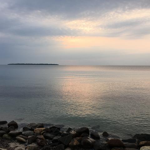 IMG 3710