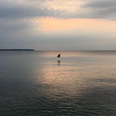 IMG 3717