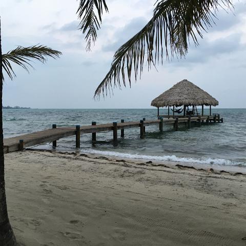 IMG 3793