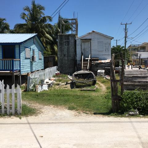IMG 3901