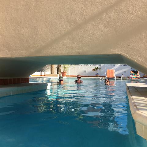 IMG 3951