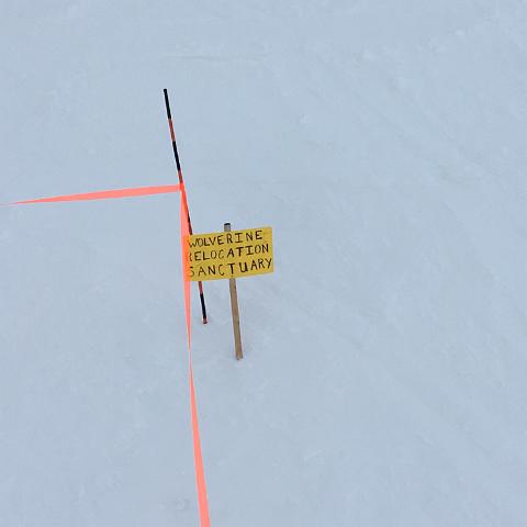 IMG 2384
