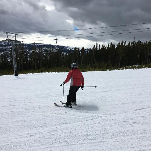 IMG 2458