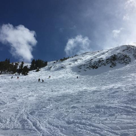 IMG 2547