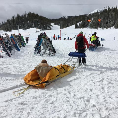 IMG 2701