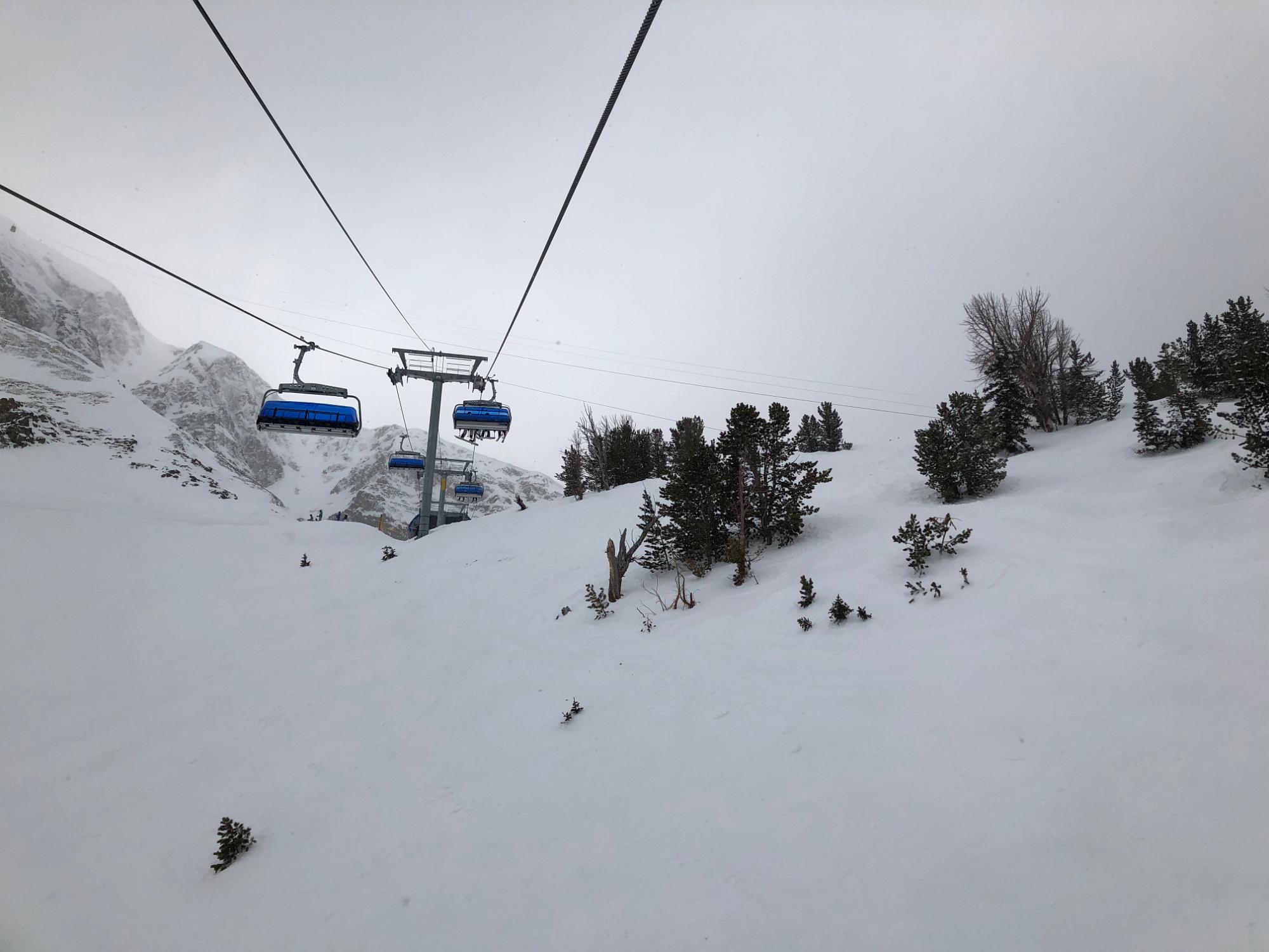 IMG 4609