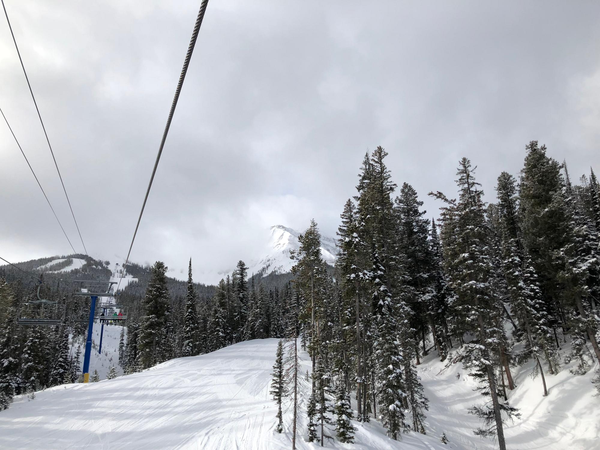 IMG 4694