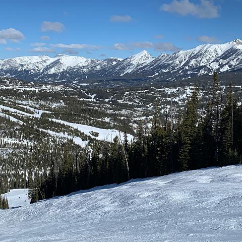 IMG 0267