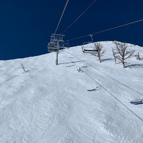 IMG 0279