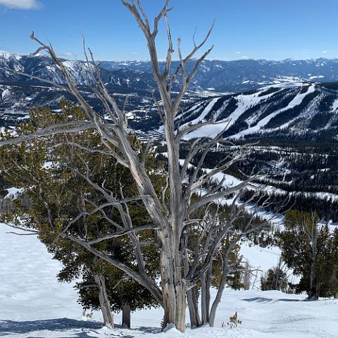 IMG 0296
