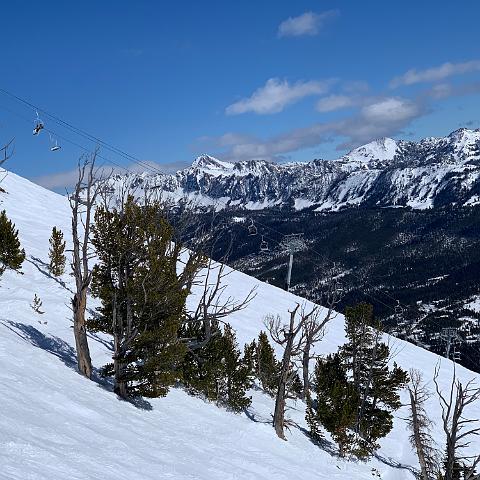 IMG 0304