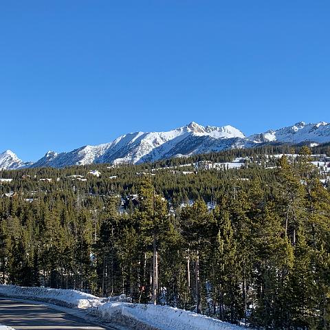 IMG 0318