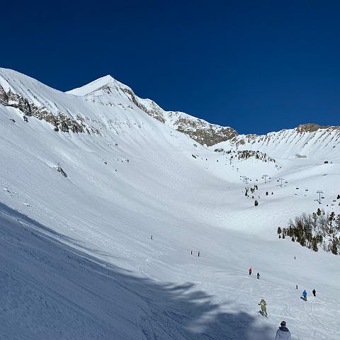 IMG 0329