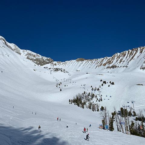 IMG 0331