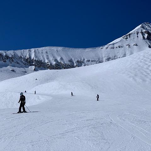 IMG 0334