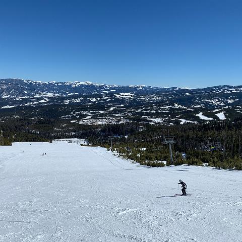IMG 0395