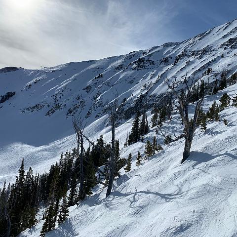 IMG 0440