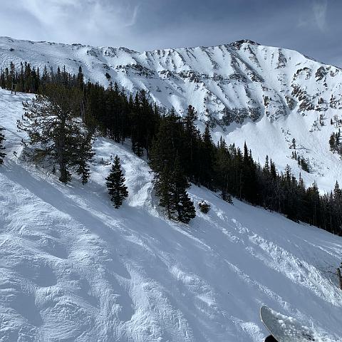 IMG 0452