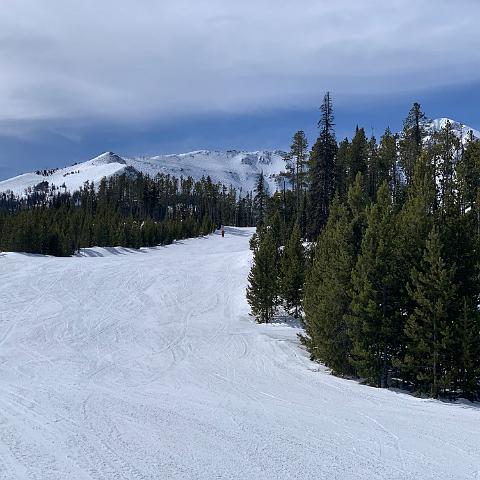 IMG 0486