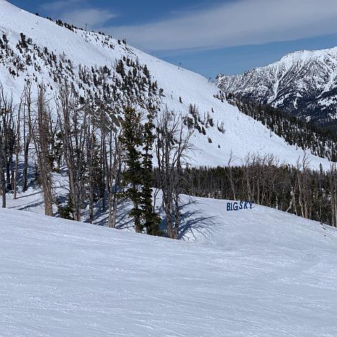 IMG 0490