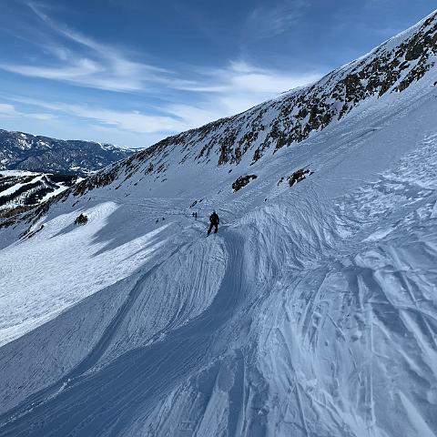 IMG 0495