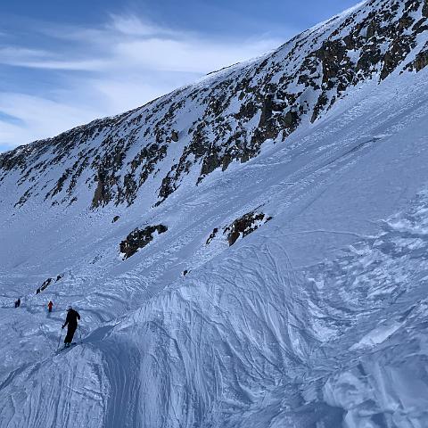 IMG 0500