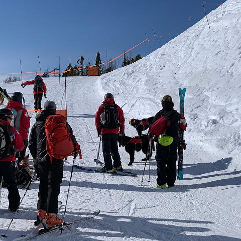 IMG 0538