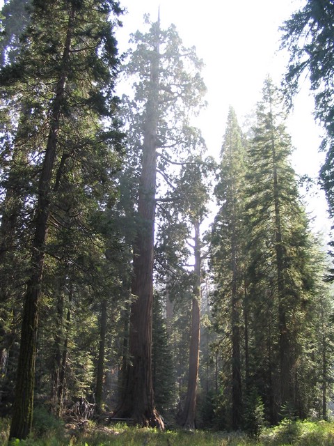 105_0589 