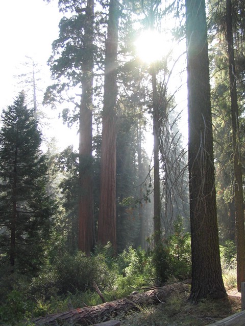 106_0605 