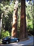 105_0548.JPG