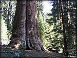 105_0557.JPG